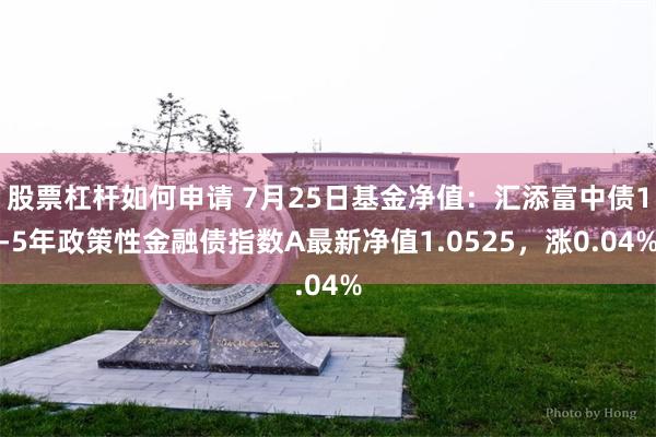 股票杠杆如何申请 7月25日基金净值：汇添富中债1-5年政策性金融债指数A最新净值1.0525，涨0.04%