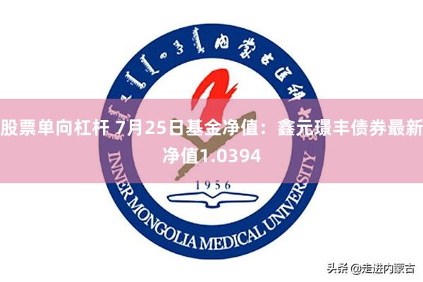 股票单向杠杆 7月25日基金净值：鑫元璟丰债券最新净值1.0394