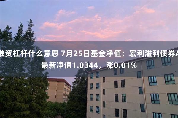 融资杠杆什么意思 7月25日基金净值：宏利溢利债券A最新净值1.0344，涨0.01%