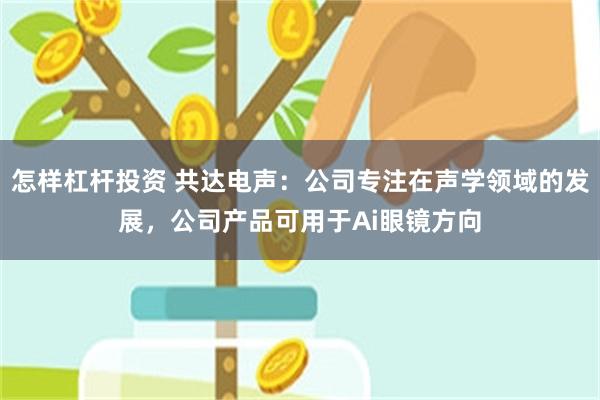 怎样杠杆投资 共达电声：公司专注在声学领域的发展，公司产品可用于Ai眼镜方向