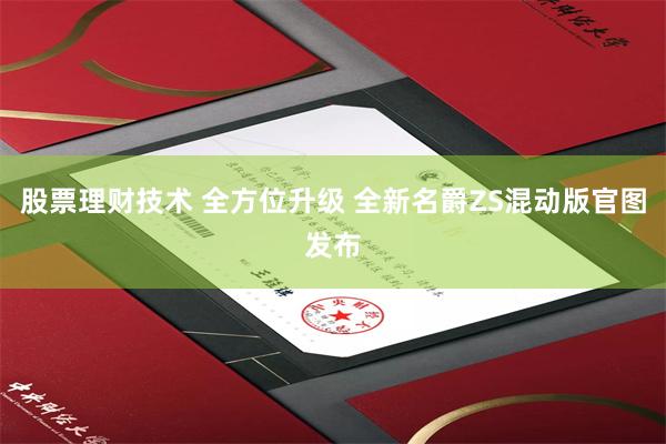 股票理财技术 全方位升级 全新名爵ZS混动版官图发布