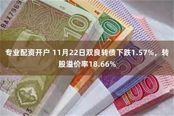 专业配资开户 11月22日双良转债下跌1.57%，转股溢价率18.66%