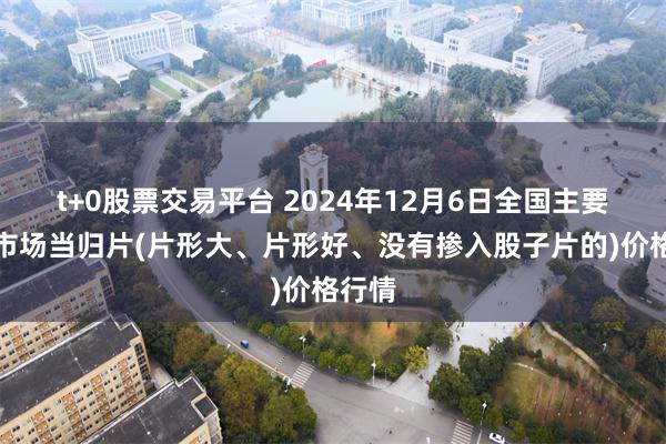 t+0股票交易平台 2024年12月6日全国主要批发市场当归片(片形大、片形好、没有掺入股子片的)价