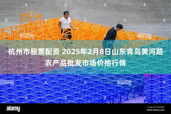 杭州市股票配资 2025年2月8日山东青岛黄河路农产品批发市场价格行情