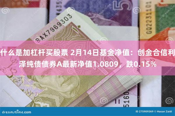 什么是加杠杆买股票 2月14日基金净值：创金合信利泽纯债债券A最新净值1.0809，跌0.15%