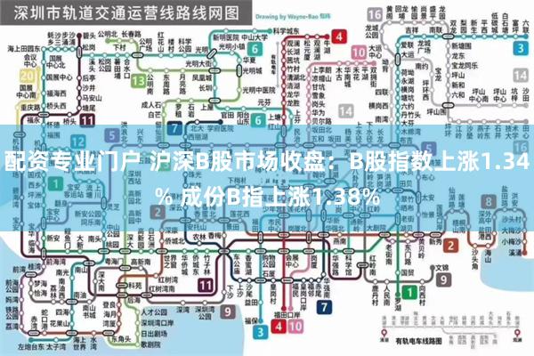 配资专业门户 沪深B股市场收盘：B股指数上涨1.34% 成份B指上涨1.38%