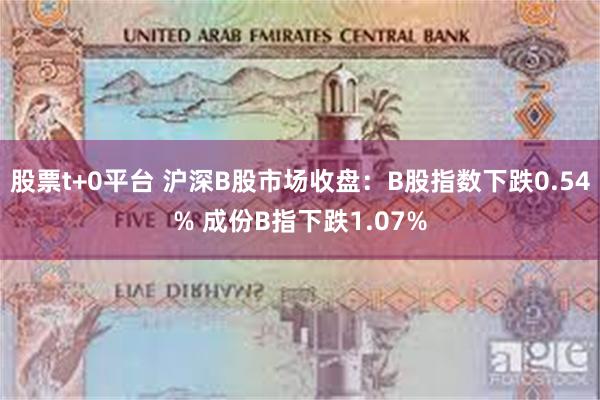 股票t+0平台 沪深B股市场收盘：B股指数下跌0.54% 成份B指下跌1.07%